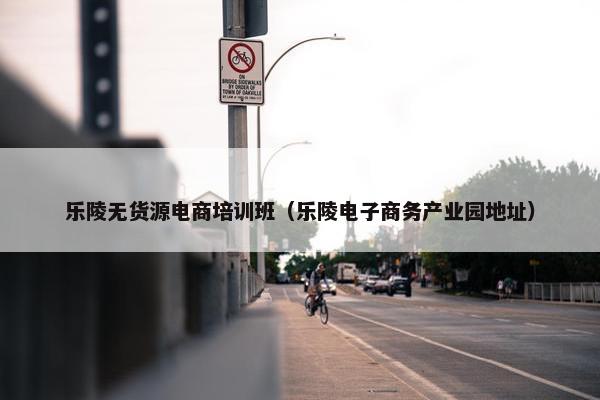 乐陵无货源电商培训班（乐陵电子商务产业园地址）