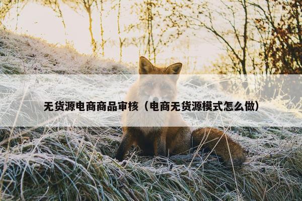 无货源电商商品审核（电商无货源模式怎么做）