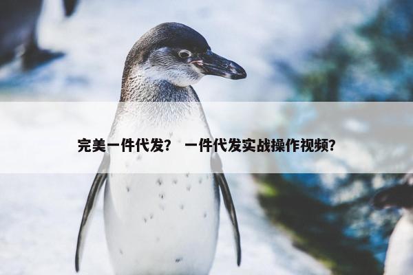 完美一件代发？ 一件代发实战操作视频？
