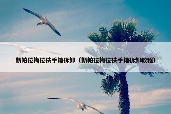 新帕拉梅拉扶手箱拆卸（新帕拉梅拉扶手箱拆卸教程）