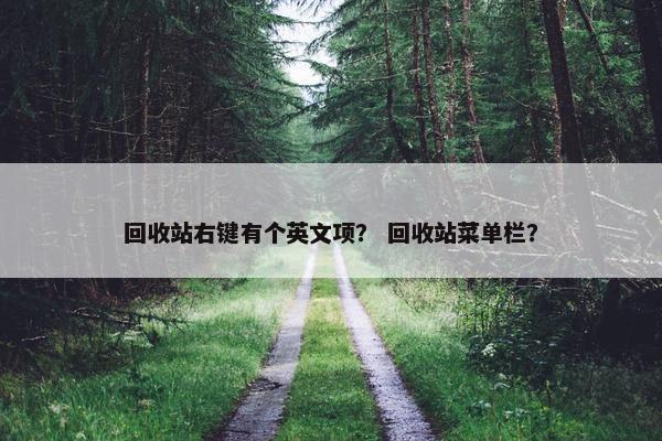 回收站右键有个英文项？ 回收站菜单栏？