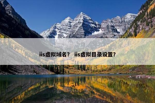 iis虚拟域名？ iis虚拟目录设置？