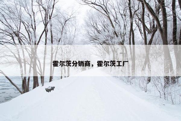 霍尔茨分销商，霍尔茨工厂