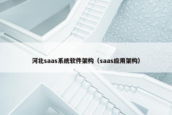 河北saas系统软件架构（saas应用架构）