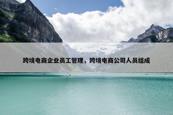 跨境电商企业员工管理，跨境电商公司人员组成