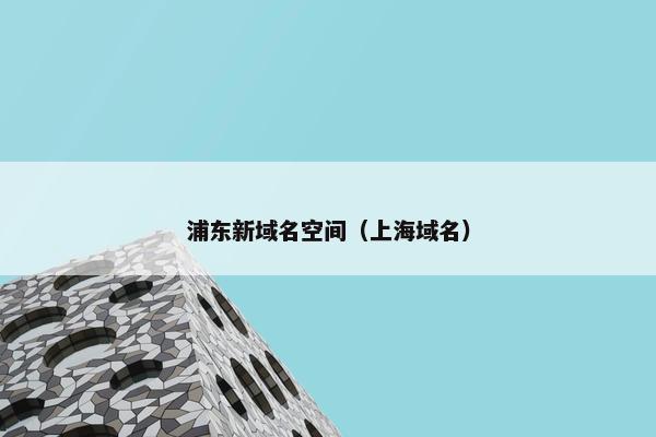 浦东新域名空间（上海域名）