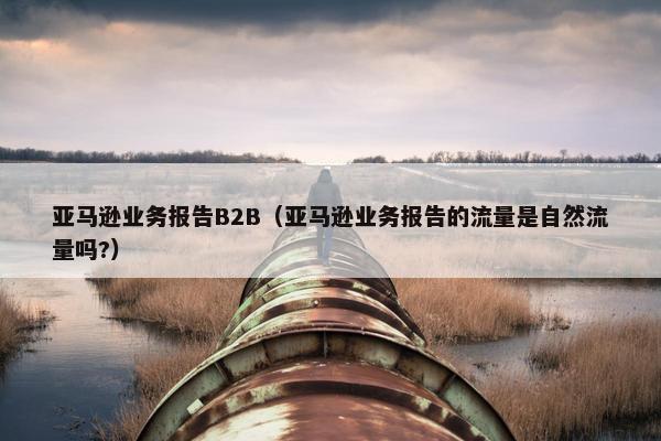 亚马逊业务报告B2B（亚马逊业务报告的流量是自然流量吗?）