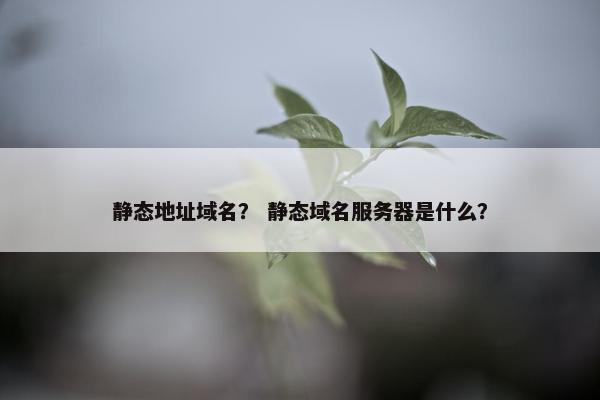 静态地址域名？ 静态域名服务器是什么？