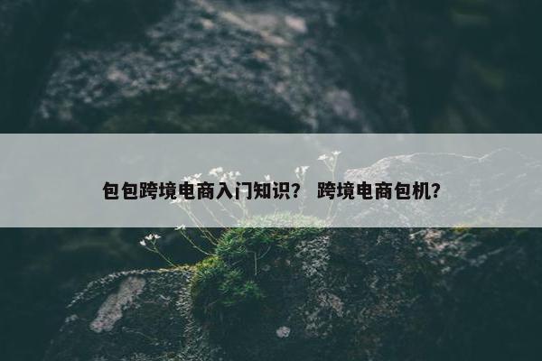 包包跨境电商入门知识？ 跨境电商包机？