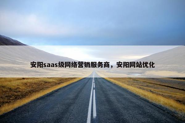 安阳saas级网络营销服务商，安阳网站优化