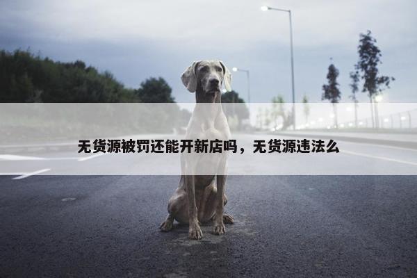 无货源被罚还能开新店吗，无货源违法么