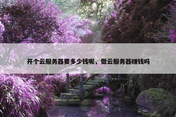 开个云服务器要多少钱呢，做云服务器赚钱吗