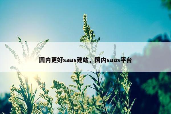 国内更好saas建站，国内saas平台