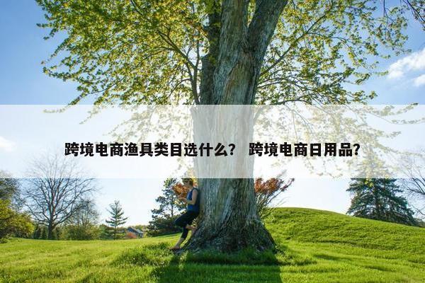 跨境电商渔具类目选什么？ 跨境电商日用品？