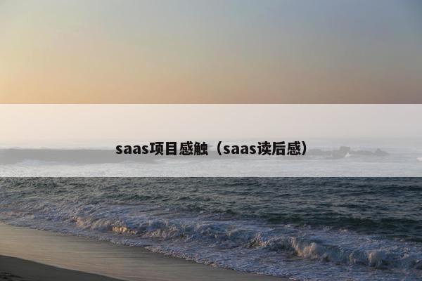 saas项目感触（saas读后感）