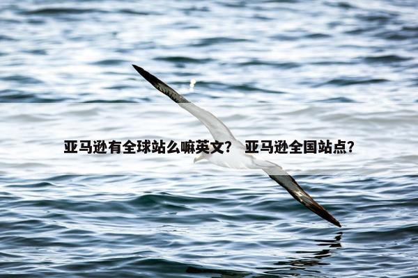 亚马逊有全球站么嘛英文？ 亚马逊全国站点？