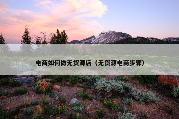电商如何做无货源店（无货源电商步骤）