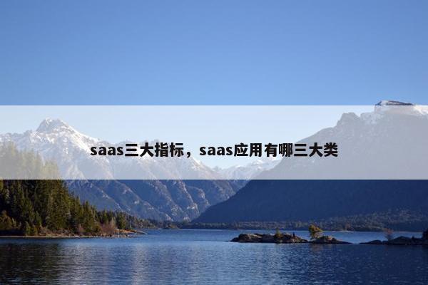 saas三大指标，saas应用有哪三大类