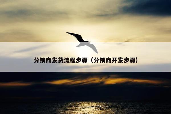 分销商发货流程步骤（分销商开发步骤）