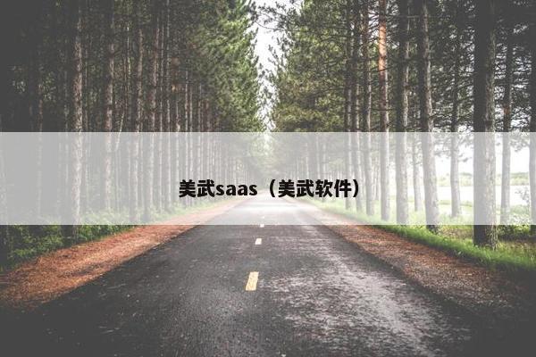 美武saas（美武软件）