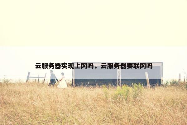 云服务器实现上网吗，云服务器要联网吗
