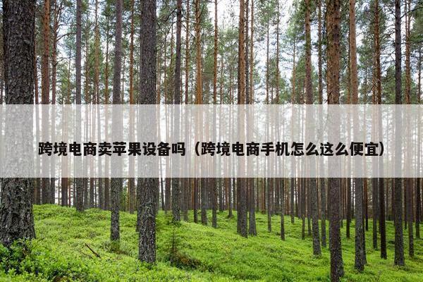 跨境电商卖苹果设备吗（跨境电商手机怎么这么便宜）