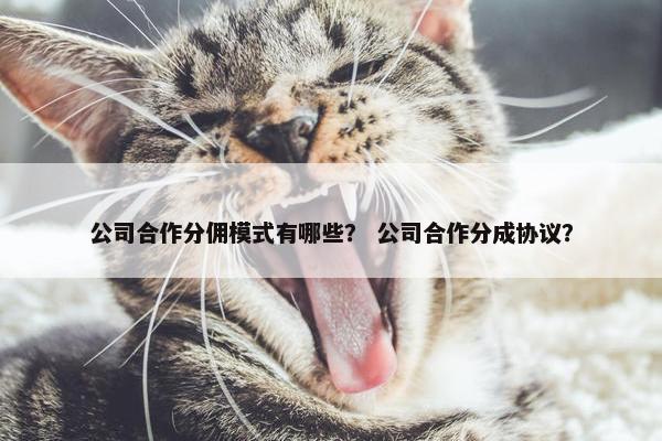 公司合作分佣模式有哪些？ 公司合作分成协议？