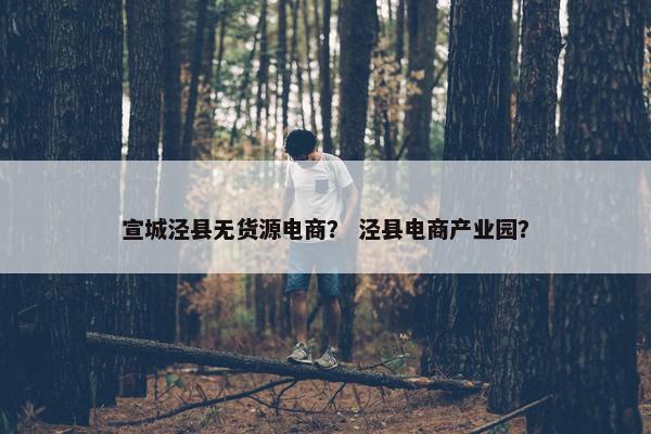 宣城泾县无货源电商？ 泾县电商产业园？