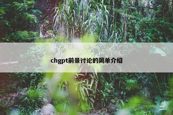 chgpt前景讨论的简单介绍