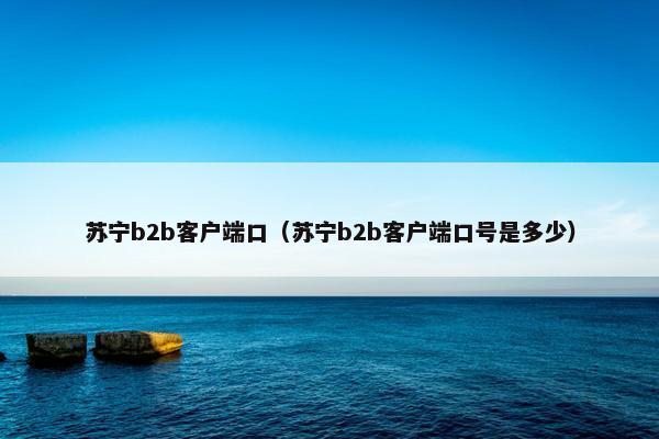 苏宁b2b客户端口（苏宁b2b客户端口号是多少）
