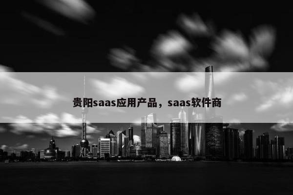 贵阳saas应用产品，saas软件商
