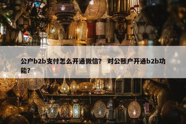 公户b2b支付怎么开通微信？ 对公账户开通b2b功能？
