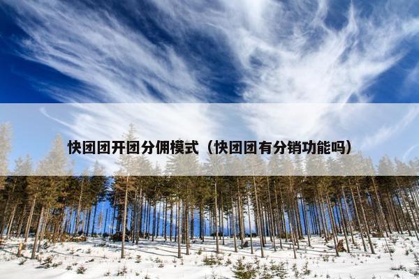 快团团开团分佣模式（快团团有分销功能吗）