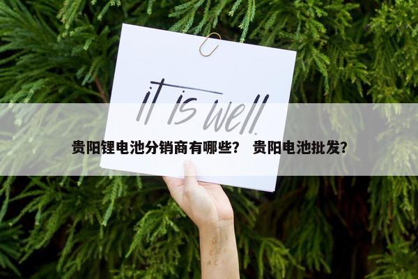 贵阳锂电池分销商有哪些？ 贵阳电池批发？