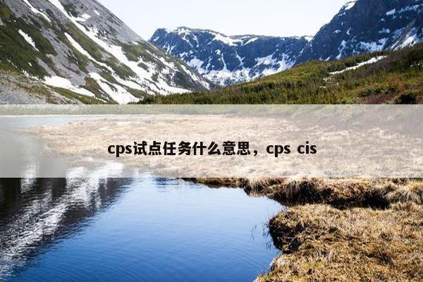 cps试点任务什么意思，cps cis