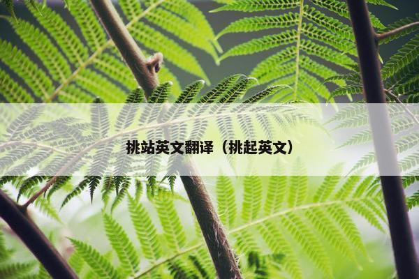 挑站英文翻译（挑起英文）