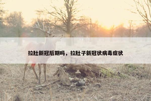 拉肚新冠后期吗，拉肚子新冠状病毒症状