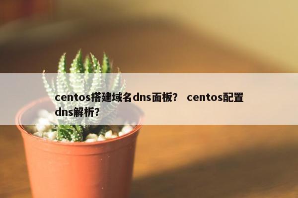 centos搭建域名dns面板？ centos配置dns解析？