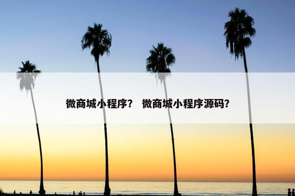 微商城小程序？ 微商城小程序源码？