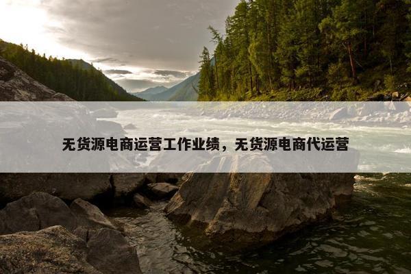无货源电商运营工作业绩，无货源电商代运营