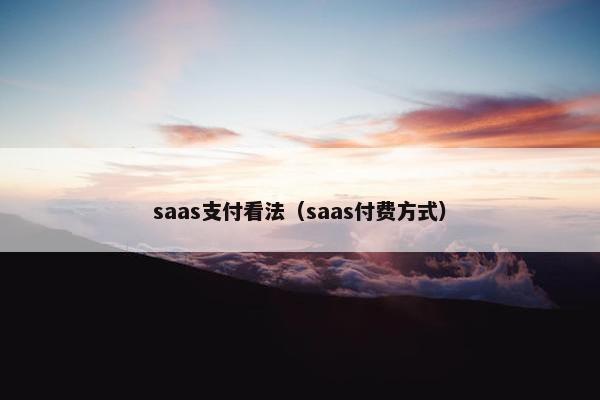 saas支付看法（saas付费方式）