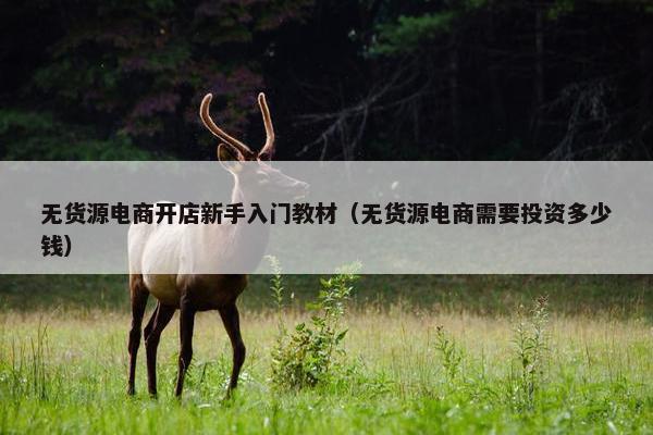 无货源电商开店新手入门教材（无货源电商需要投资多少钱）