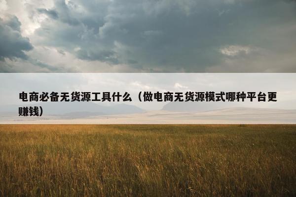 电商必备无货源工具什么（做电商无货源模式哪种平台更赚钱）