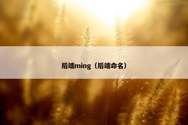 后端ming（后端命名）