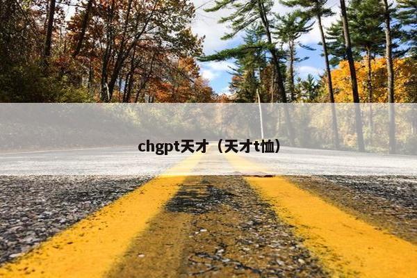 chgpt天才（天才t恤）