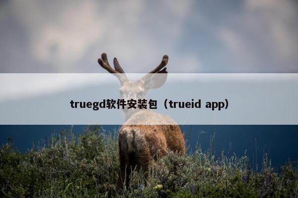 truegd软件安装包（trueid app）
