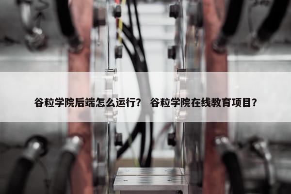 谷粒学院后端怎么运行？ 谷粒学院在线教育项目？