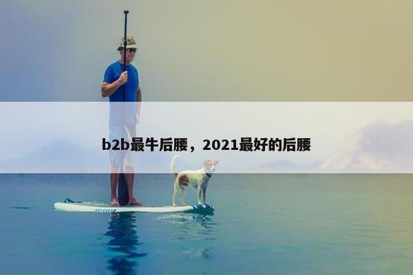 b2b最牛后腰，2021最好的后腰