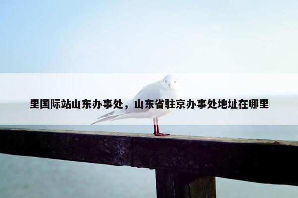 里国际站山东办事处，山东省驻京办事处地址在哪里