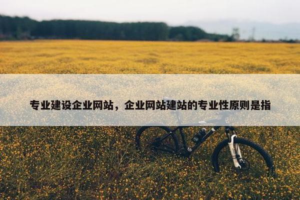 专业建设企业网站，企业网站建站的专业性原则是指